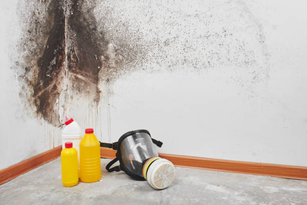 Best Industrial Mold Remediation in Fearrington Village, NC